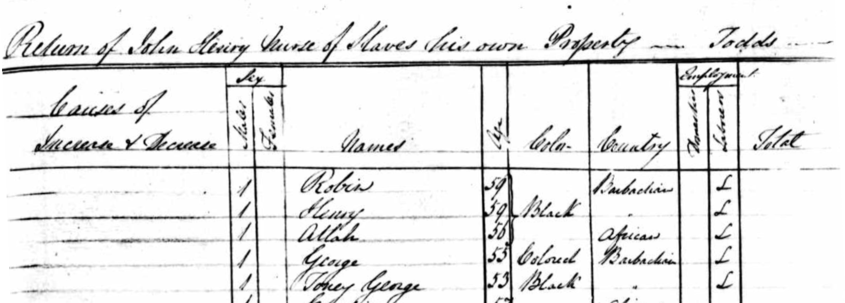 Figure 3: Part of the Return for Todd’s Estate in the 1834 Slave Register