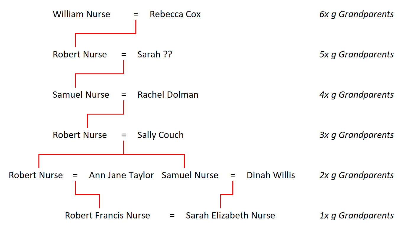 Figure 3: My Nurse Ancestors